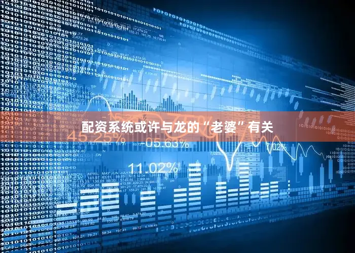 配资系统或许与龙的“老婆”有关