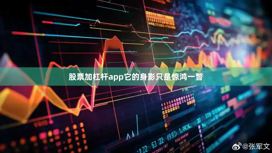 股票加杠杆app它的身影只是惊鸿一瞥