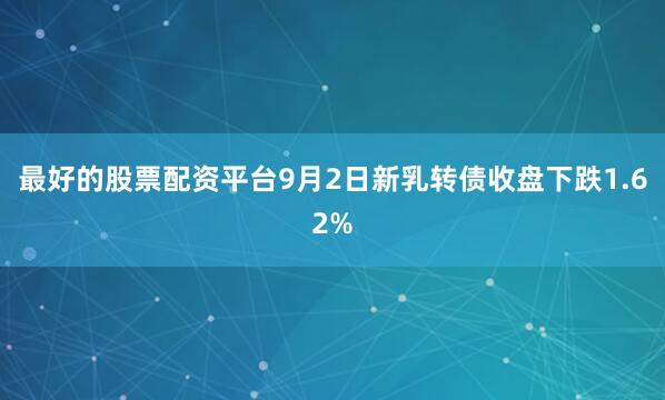 最好的股票配资平台9月2日新乳转债收盘下跌1.62%