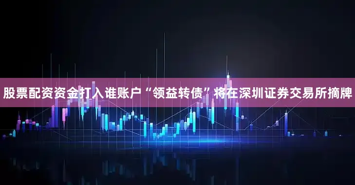股票配资资金打入谁账户“领益转债”将在深圳证券交易所摘牌