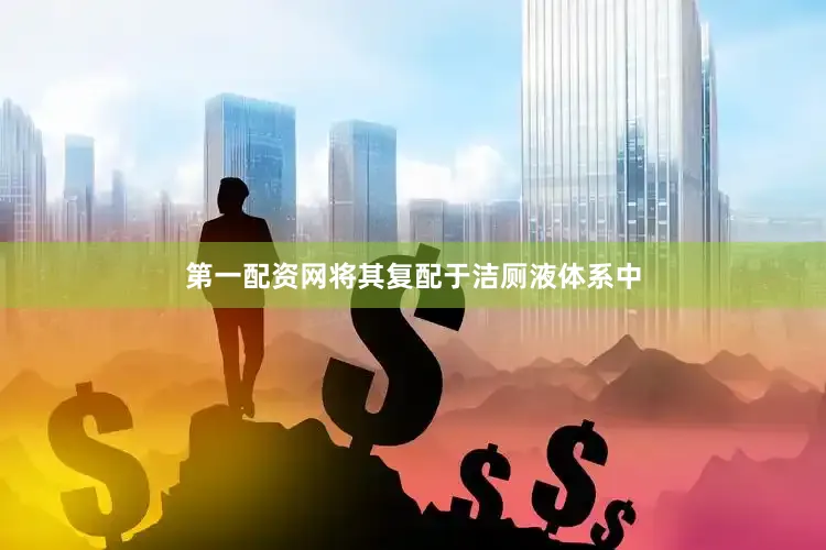 第一配资网将其复配于洁厕液体系中